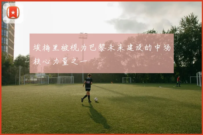 埃梅里被视为巴黎未来建设的中场核心力量之一