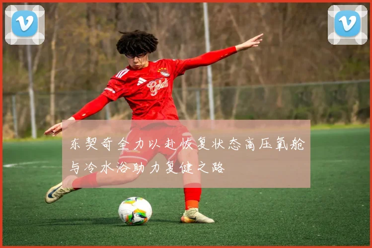 东契奇全力以赴恢复状态高压氧舱与冷水浴助力复健之路