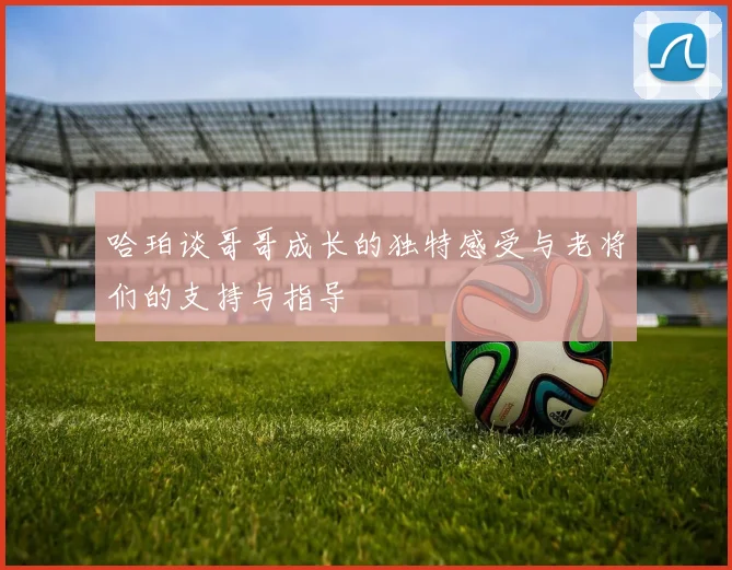 哈珀谈哥哥成长的独特感受与老将们的支持与指导