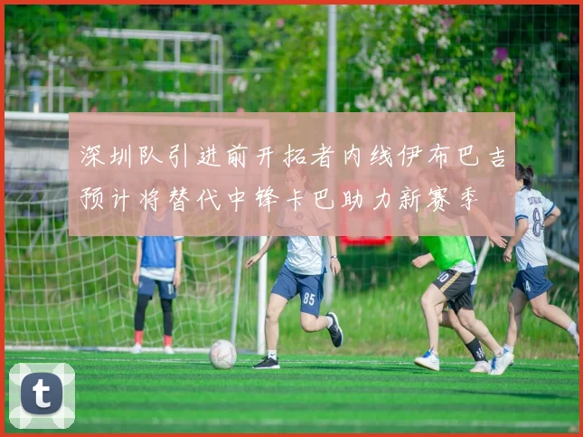 深圳队引进前开拓者内线伊布巴吉预计将替代中锋卡巴助力新赛季